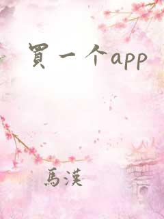 买一个app