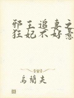 邪王追妻之神医狂妃不好惹