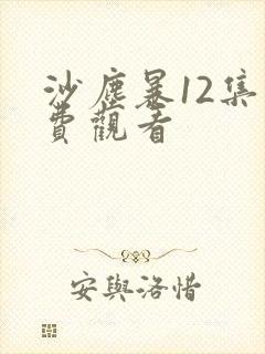 沙尘暴12集免费观看