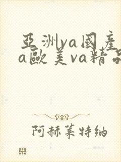 亚洲va国产va欧美va精品