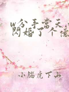 w分手当天,我闪婚了个亿万富翁》