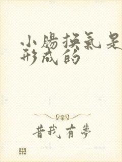 小肠换气是怎么形成的