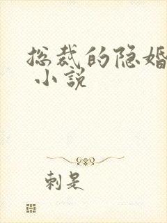 总裁的隐婚罪妻 小说