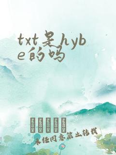 txt是hybe的吗