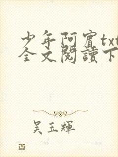 少年阿宾txt全文阅读下载