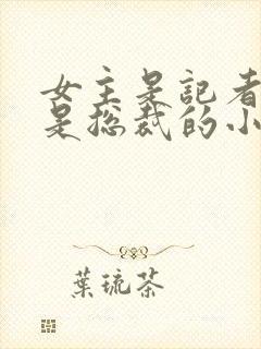 女主是记者男主是总裁的小说