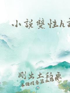 小说双性h调教