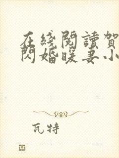 在线阅读贺少的闪婚暖妻小说