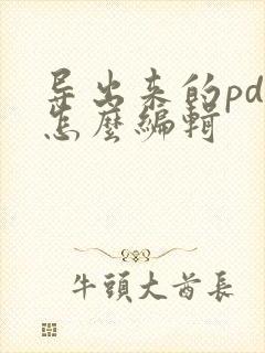 导出来的pdf怎么编辑