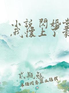 小说 闪婚当天,我怀上了豪门继承人