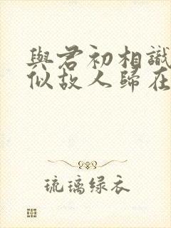 与君初相识·恰似故人归在线观看完整版