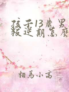 孩子13岁男孩叛逆期怎么办