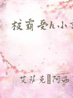 校霸受h小说