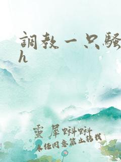 调教一只骚母狗h
