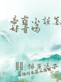 帝霸小说怎么样好看吗