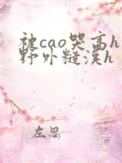 被cao哭高h野外糙汉h