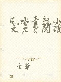 风水青龙小说全文免费阅读无弹窗