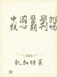 中国医学杂志是核心期刊吗