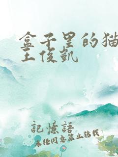 盒子里的猫综艺王俊凯