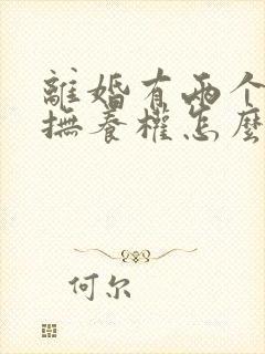 离婚有两个小孩抚养权怎么判定