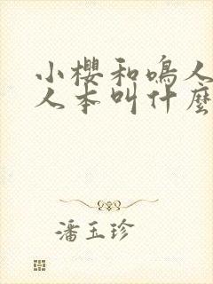 小樱和鸣人的同人本叫什么