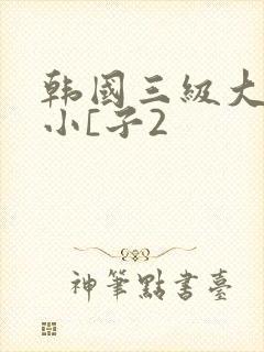 韩国三级大胸的小[子2