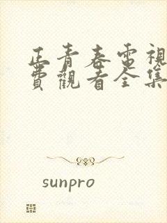 正青春电视剧免费观看全集策驰