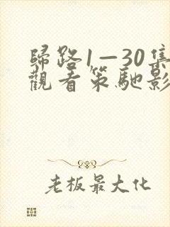 归路1—30集观看策驰影院