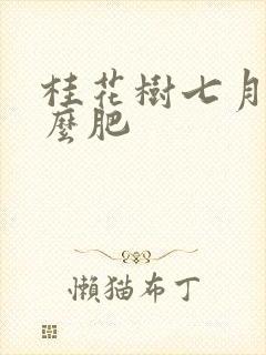 桂花树七月施什么肥