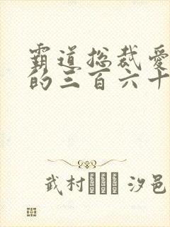 霸道总裁爱上我的三百六十五天