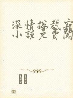 深情总裁宠不停小说免费阅读