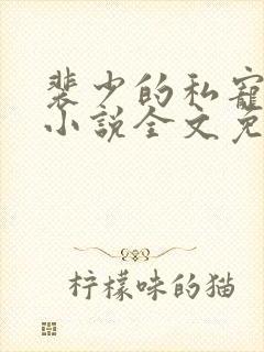 裴少的私宠娇妻小说全文免费