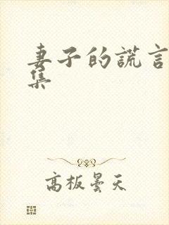 妻子的谎言有几集
