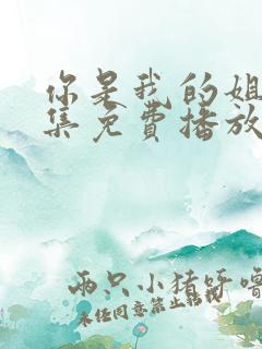 你是我的姐妹全集免费播放电视剧
