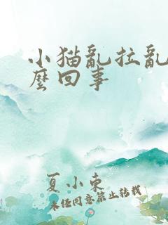 小猫乱拉乱尿怎么回事