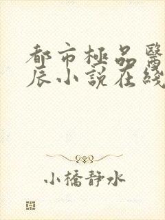 都市极品医神叶辰小说在线阅读