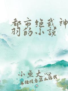 都市绝武神医江羽的小说