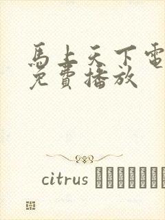 马上天下电视剧免费播放