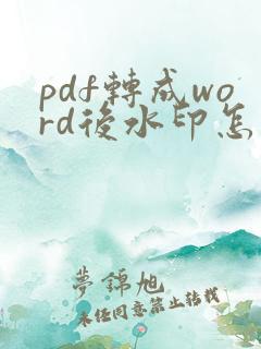pdf转成word后水印怎么去掉