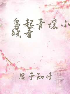 枭起青壤小说在线看