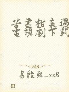 苦尽柑来遇见你电视剧下载免费观看