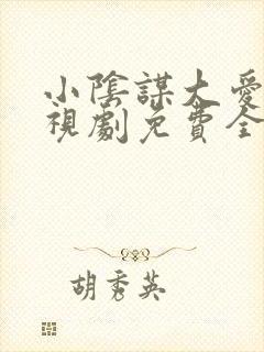小阴谋大爱情电视剧免费全集在线看