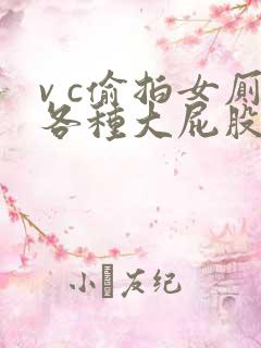 v c偷拍女厕各种大屁股