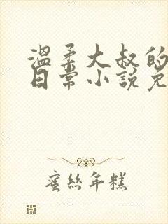 温柔大叔的恋爱日常小说免费阅读