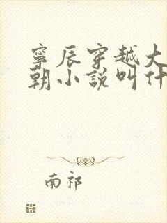 宁辰穿越大玄王朝小说叫什么