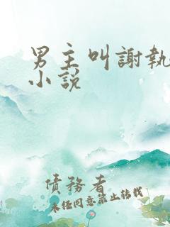 男主叫谢执野的小说