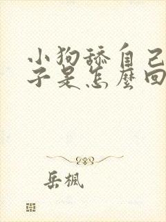 小狗舔自己的爪子是怎么回事