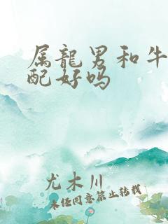 属龙男和牛女婚配好吗