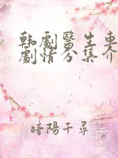 韩剧医生车贞淑剧情分集介绍大结局