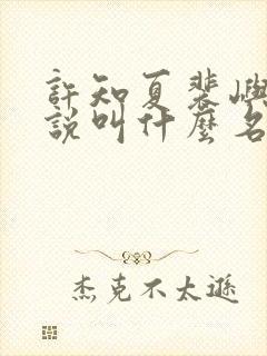 许知夏裴屿安小说叫什么名字